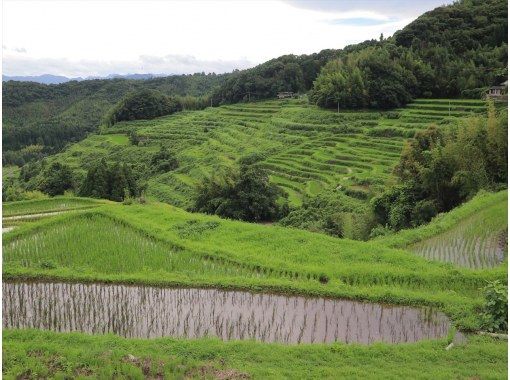 [Oita/Beppu] Beppu DEEP sightseeing course by cruiser in Yunokuni / MUGYUUの画像