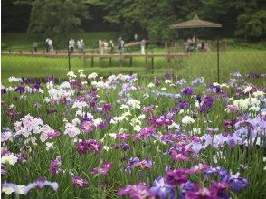 [Oita, Beppu] Beppu Deep Sightseeing Course on the Yunokuni Cruiser / Lake Kagurame