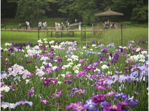 【大分・別府】ゆのくにクルーザーで行く別府DEEP観光コース／神楽女湖の画像