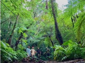 アマニコガイドサービス