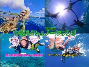 【石垣島】船で行く♪ウミガメシュノーケリングコースF《GoProレンタル無料！》【半日コース/PM】