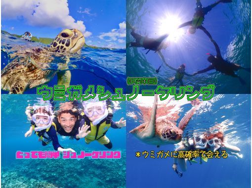 【石垣島】船で行く♪ウミガメシュノーケリングコースF《GoProレンタル無料！》【半日コース/PM】の画像