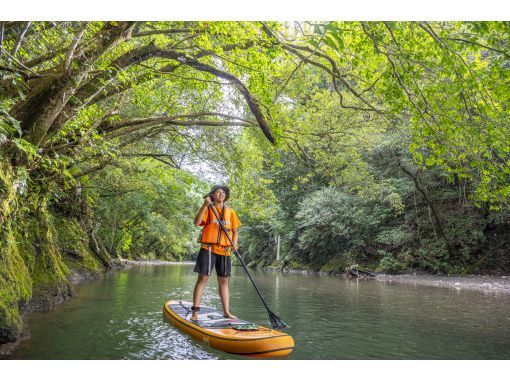 ～A hidden place that can only be reached by SUP! Monobe River Jungle Cruise～ [A completely private cruise for one group only!]の画像