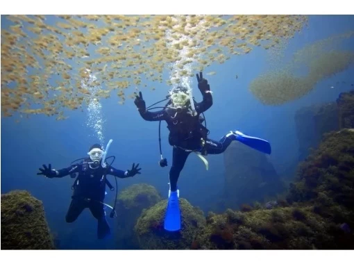 ダイビングライセンス取得【千葉/2日間~】体験ダイビング経験者向け（未経験者も受講可能）学割・グループ割りの画像