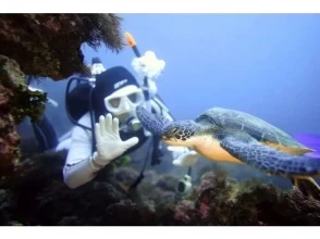 ダイビングライセンス取得【埼玉/2日間~】体験ダイビング経験者向け（未経験者も受講可能）学割・グループ割りあり