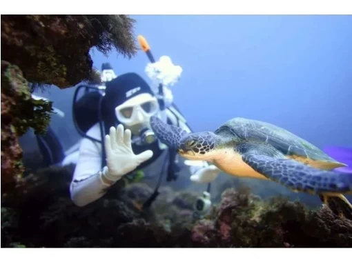 ダイビングライセンス取得【埼玉/2日間~】体験ダイビング経験者向け（未経験者も受講可能）学割・グループ割りありの画像