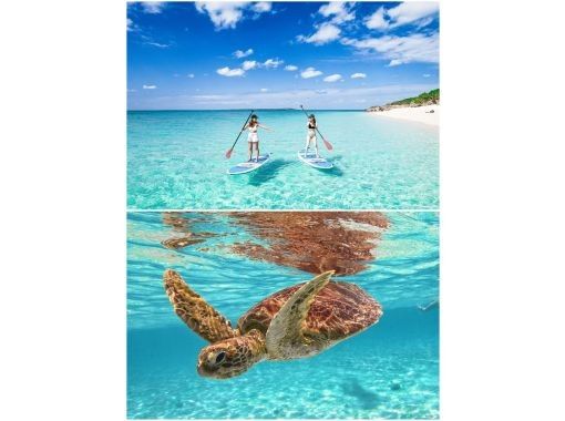 [Miyakojima/half day] Two activities in half day! SUP & sea turtle snorkeling! [Equipment/photo free]の画像