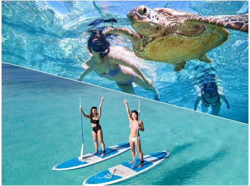 [Miyakojima/half day] Two activities in half day! SUP & sea turtle snorkeling! [Equipment/photo free]の画像