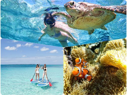 [Miyakojima/1 day] SUP & sea turtle snorkeling! Enjoy all the activities that are becoming popular in one day! [Equipment/photo free]の画像