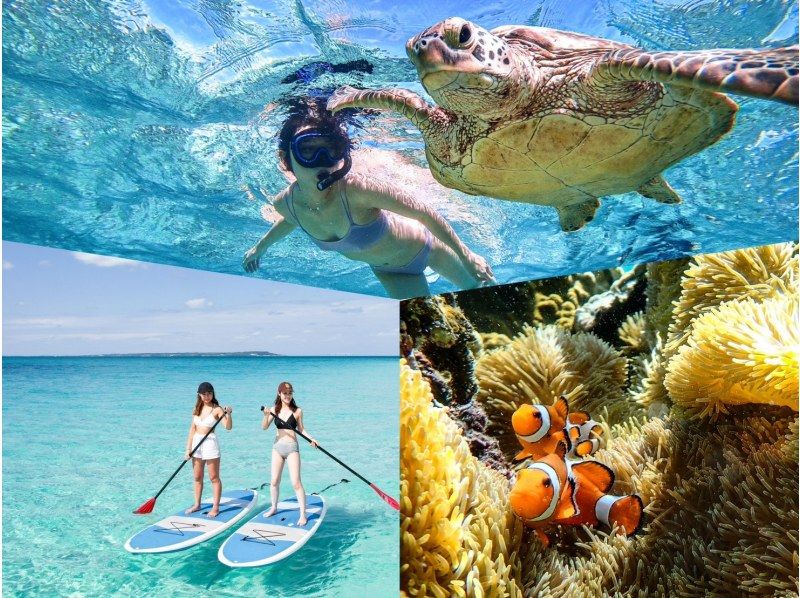 [Miyakojima/1 day] SUP & sea turtle snorkeling! Enjoy these increasingly popular activities in one day! [Free photos]の紹介画像