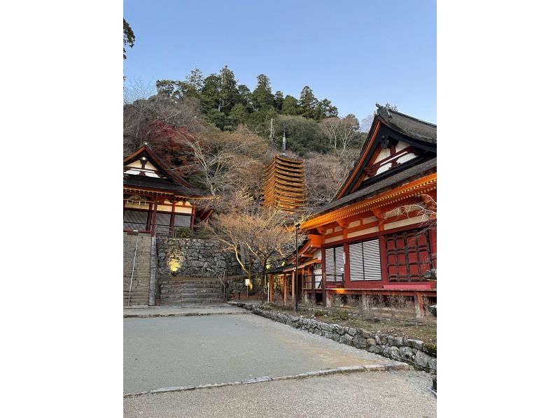 [Tamamine, Sakurai City, Nara] Experience the "Kamigoto" ritual of eating together the gods and the people at the shrine and light up Tanzan Shrine for one day! (2023/12/4 *1 day limited event)の紹介画像