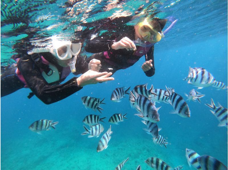 【北海道・SUP体験】透明度の高い支笏湖の湖面をクルージング！SUP体験（半日コース）の画像