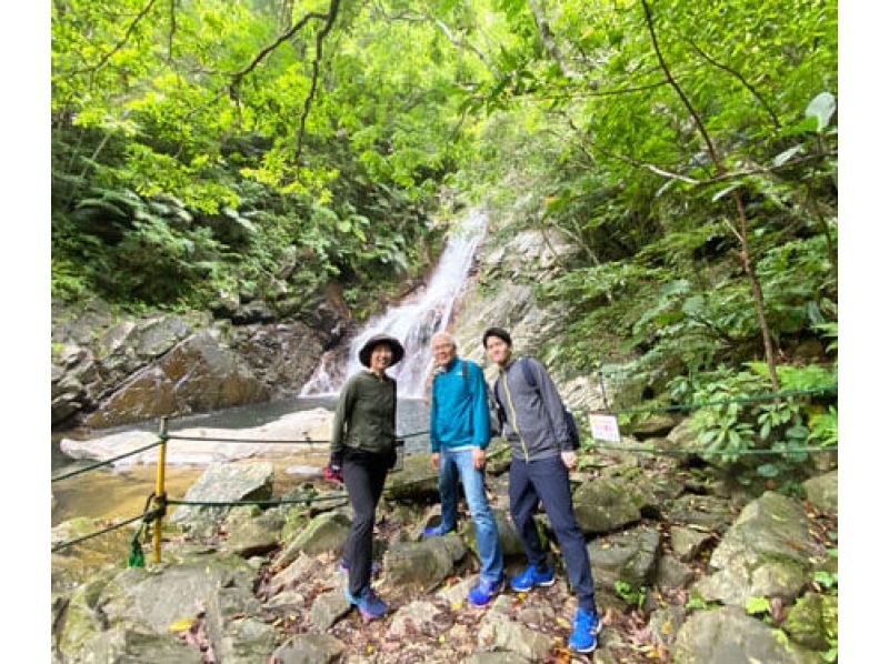 【沖縄北部・オクマ】国頭村やんばるの森ガイド 比地大滝ツアーの紹介画像