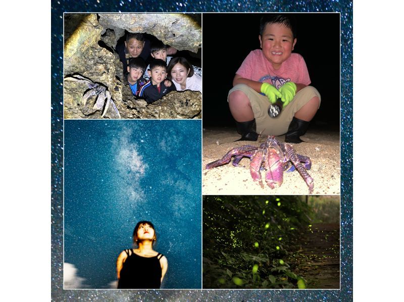 【98% 概率邂逅椰子蟹】星空摄影 & 夜间探险 & 100% 干红树林探险 / 未见到濒危椰子蟹可全额退款の紹介画像