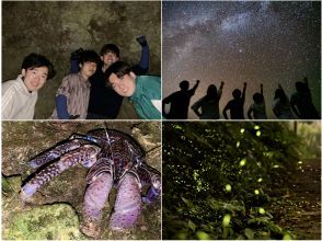 [Ishigaki Island / 1 group reserved] Starry sky photo & firefly viewing & jungle night tour / Full refund guaranteed if you can't see the endangered coconut crab / Photographed by a professional photographerの画像