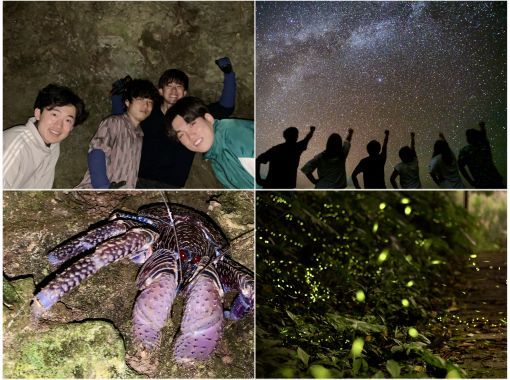 [100% chance of encountering coconut crabs in April and May] Starry sky photo and jungle night tour / Full refund guarantee if you don't see the endangered coconut crab / Photo taken by a professional photographerの画像