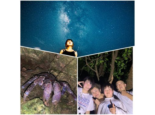 【四月/五月椰子蟹邂逅率100%】星空拍照+叢林夜遊/看不到瀕危椰子蟹全額退款/專業攝影師拍攝の画像