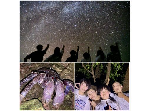 [98% chance of encountering coconut crabs / 3-65 years old] Starry sky photo & mangrove exploration & jungle night tour / Full refund guarantee if you don't see the endangered coconut crabの画像
