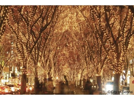 [Miyagi/Sendai] Enjoy the pageant of lights 10 times more with a guide! City walking experienceの画像