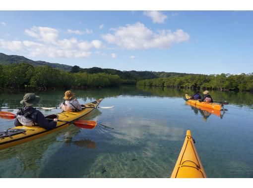 [Okinawa ・ Iriomote Island] I can fully enjoy Mangrove Kayaking 1-Day tour[Kayak]の画像