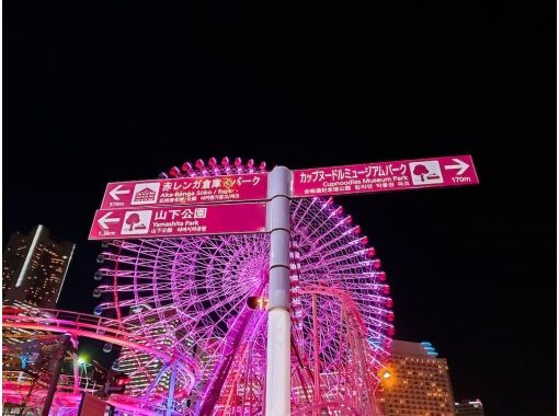 [Yokohama Area] Custom-made 10-hour day tour in a sightseeing hire car with a dedicated driverの画像
