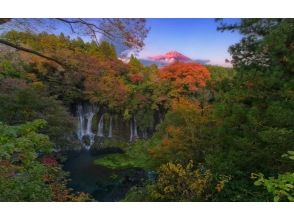 [Karuizawa area] Spring sale underway! Customized 10 Hour Day Tour with Private Driver Sightseeing Car Rental