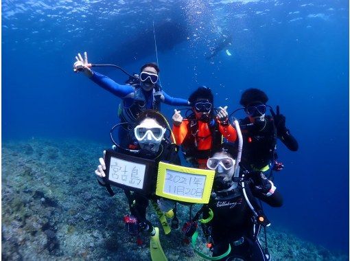 千葉県のダイビングライセンス取得の予約【日本旅行】オプショナルツアー・アクティビティ・遊びの体験予約