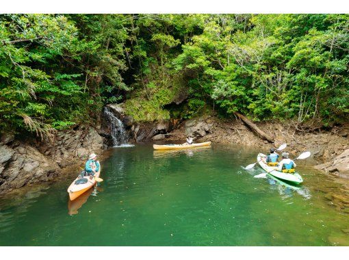 [Okinawa/Yanbaru] Experience the power of nature on the surface of Fukuchi Dam lake while canoeing!の画像