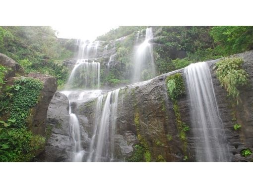 [오키나와· 이리 오모테 섬] 웅대하게 흐르는 유쯘 삼단 폭포 [정글 트레킹 1 일]の画像