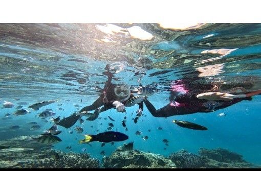 [沖繩本部鎮]大猩猩砍浮潛+滑翔傘套餐♪享受大海和天空！ GoPro 照片數據免費服務♪の画像