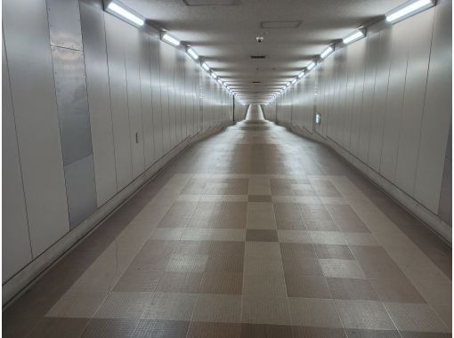 【成田空港の異空間】初代「成田空港駅」の面影 東成田駅と500m地下通路80分★高架新駅構想で再注目 【成田空港の異空間】初代「成田空港駅」の面影 東成田駅と500m地下通路80分★高架新駅構想で再注目