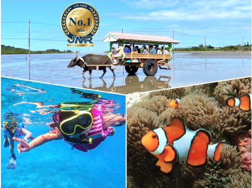 【西表島最大手】年間参加者数No.1*!天然水族館と緑の楽園!トロピカルシュノーケリング&由布島観光【写真データ/備品レンタル無料】 【西表島最大手】年間参加者数No.1*!天然水族館と緑の楽園!トロピカルシュノーケリング&由布島観光【写真データ/備品レンタル無料】