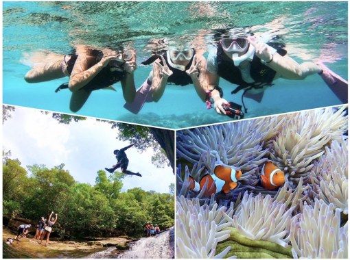 [Iriomote Island/1 day] Adventure in the World Heritage Site with classic activities! Tropical snorkeling & canyoning [Free photo data] SALE!の画像
