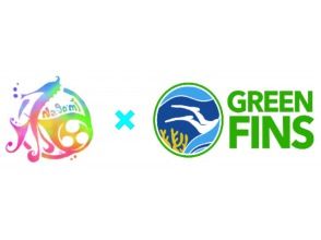 【青の洞窟・恩納村推奨グリーンフィンズ導入ボート体験ダイビング】当ツアーは、魚の餌付けはありません★珊瑚にやさしい日焼け止めプレゼント