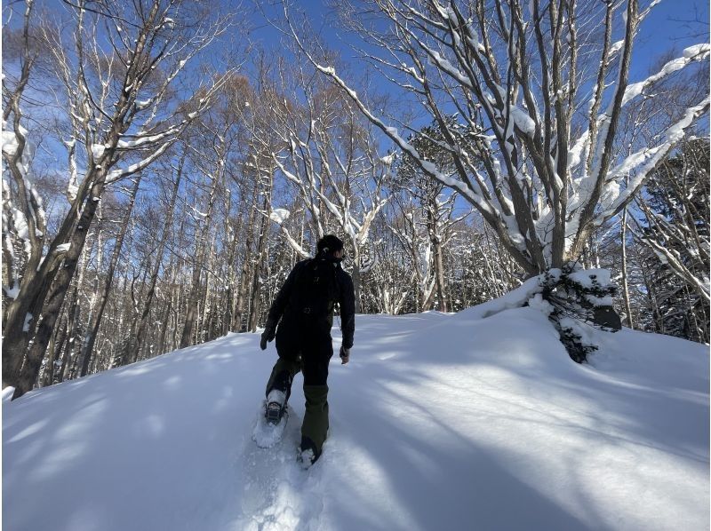 【北海道・ニセコ】スノーシュートレッキング！冬のニセコで山散歩の紹介画像