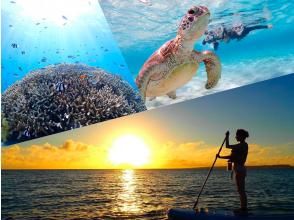 Miyakojima "Enjoy Miyakojima" 100% encounter rate continues!! [Sunset SUP & Sea Turtle Snorkeling] ★Limited to one group per day★Free photo data! ★Beginners welcome