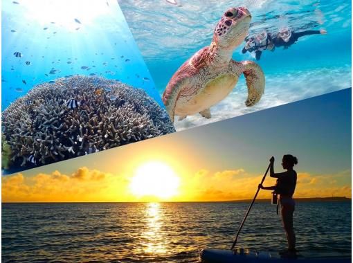 Miyakojima "Enjoy Miyakojima" 100% encounter rate continues!! [Sunset SUP & Sea Turtle Snorkeling] ★Limited to one group per day★Free photo data! ★Beginners welcomeの画像