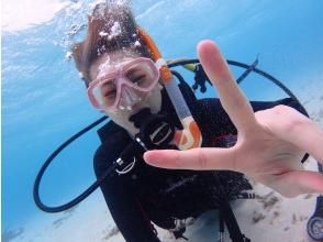 【沖縄・石垣島】幻の島上陸＆半日体験ダイビング《ツアー写真プレゼント》