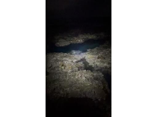 【鹿児島・与論島】1日1組限定毎日変わる冬の限られた時間にしか行けない夜の珊瑚見学ツアーの画像
