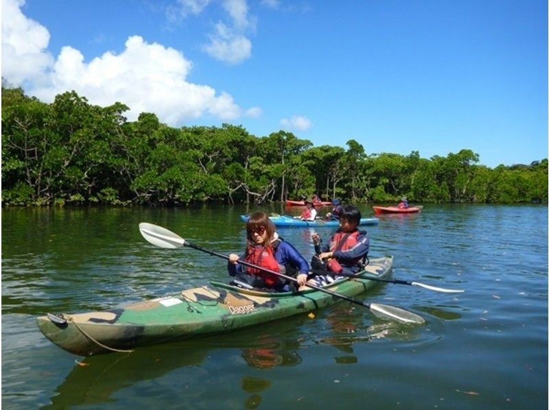 [Iriomote Island · 6 hours] with outdoor lunch! A spectacular view from the top of the waterfront is highlighted ♪ Canoeing & trekking 1 Sun course!の紹介画像