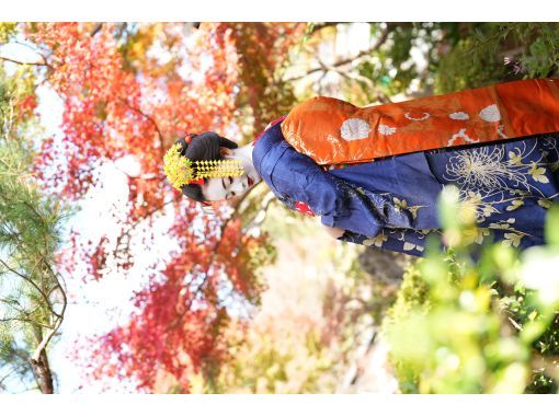 Limited time offer [Kyoto, Kiyomizu-dera Temple] For those who want to take a short stroll! Maiko Mini Stroll Plan 22,000 yen → 8,900 yen (excluding tax) の画像