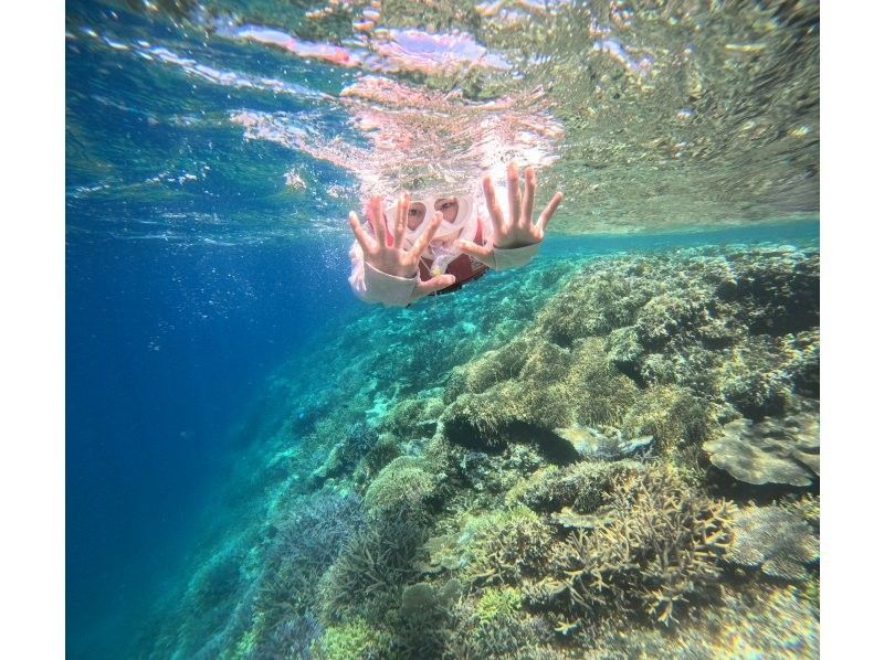 World's most miraculous coral reefs Yabiji Irabu Ikema snorkel tourの紹介画像