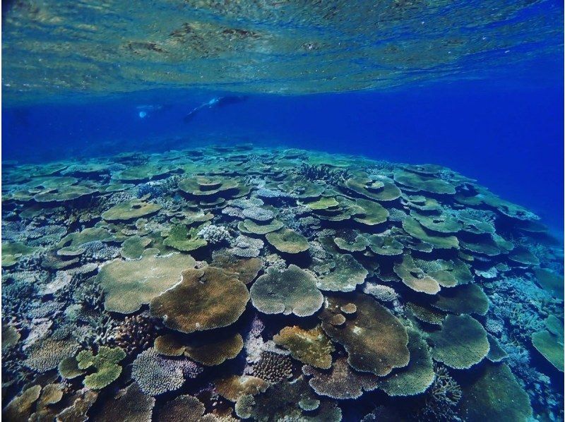 【北海道・SUP体験】透明度の高い支笏湖の湖面をクルージング！SUP体験（半日コース）の画像