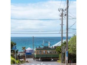 [Kamakura] Custom-made 10-hour day tour in a sightseeing hire vehicle with a private driver