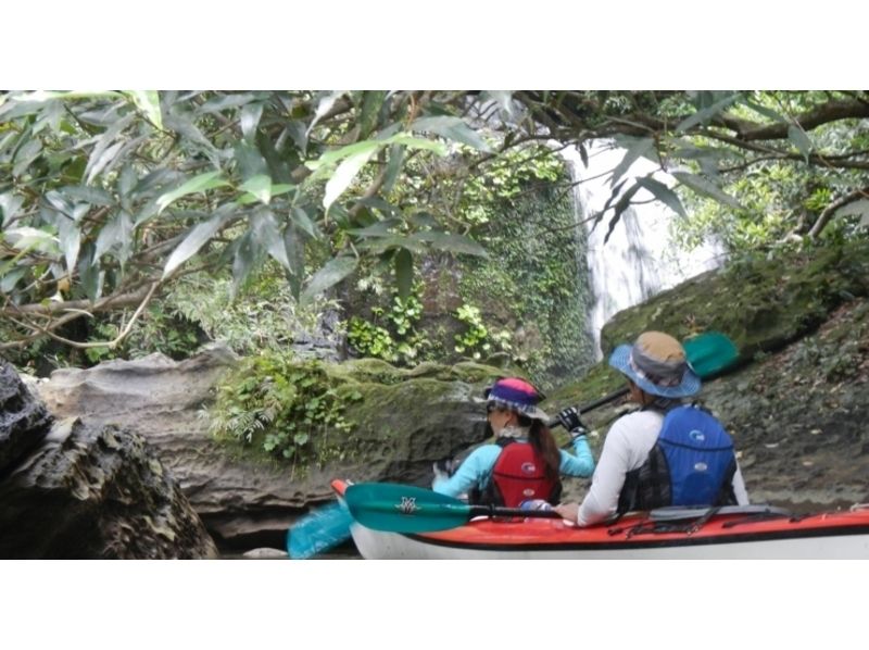 [Okinawa-Iriomote Island] Let's go to see the wonderful waterfall flowing like a curtain! [Kayak ・ 1 day trekking】の紹介画像