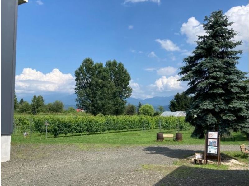 [Hokkaido/Nakafurano] Stay in a camper at the winery "Domaine Raison" (sleep in the car)の紹介画像