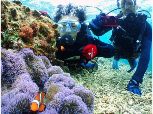 【恩納村】10大福利免費沖繩青之洞窟船體驗潛水の画像