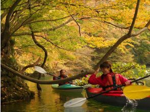 [Minakami/Gunma] Kanukko Autumn Leaves Canoe Tour (Half-Day) - Ages 3 and up! Free photos taken during the tour! Dogs are welcome!