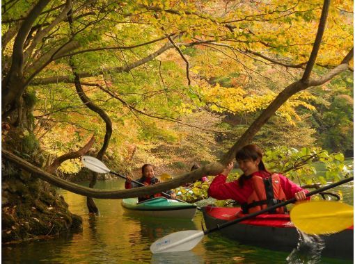 [Minakami/Gunma] Kanukko Autumn Leaves Canoe Tour (Half-Day) - Ages 3 and up! Free photos taken during the tour! Dogs are welcome!の画像