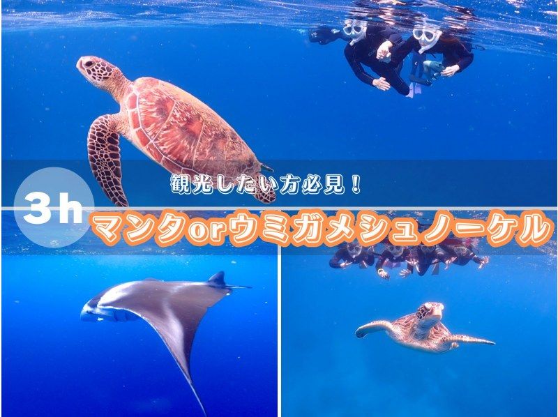 【北海道・SUP体験】透明度の高い支笏湖の湖面をクルージング！SUP体験（半日コース）の画像